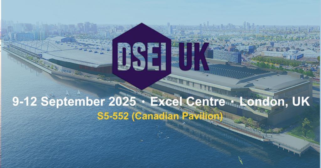 DSEI WordPress Feature Image