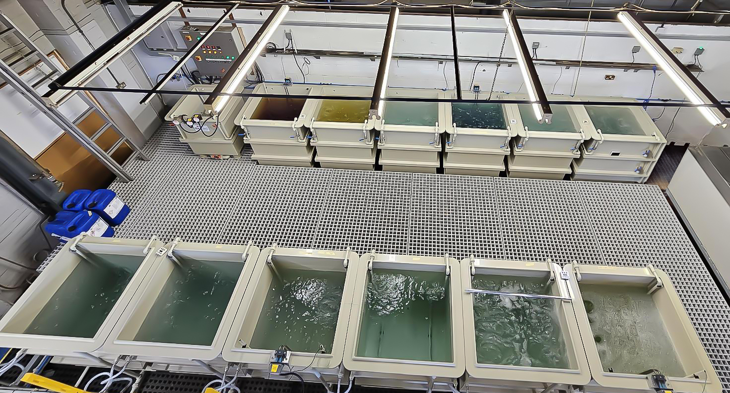 Captec Expands Surface Treatment Facility to Meet BR 3939